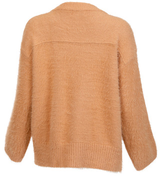 Thumbnail 3: LIGHT CAMEL