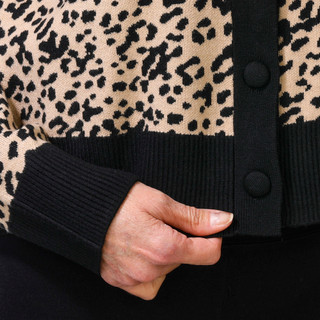 Thumbnail 2: CHEETAH