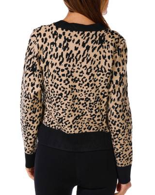 Thumbnail 3: CHEETAH