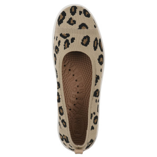 Thumbnail 5: LEOPARD