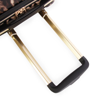 Thumbnail 4: LEOPARD