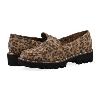Thumbnail 7: BROWN LEOPARD