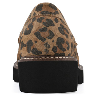 Thumbnail 5: BROWN LEOPARD