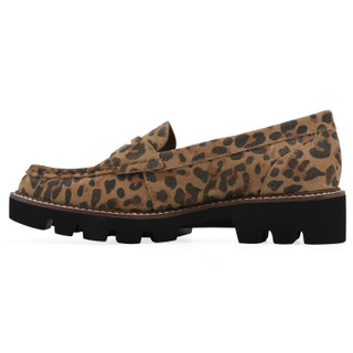 Thumbnail 6: BROWN LEOPARD