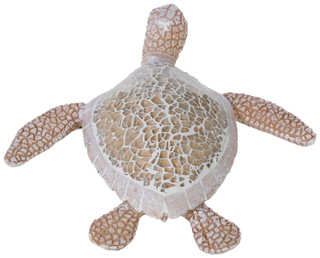 Thumbnail 4: No Color