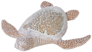 Thumbnail 1: No Color