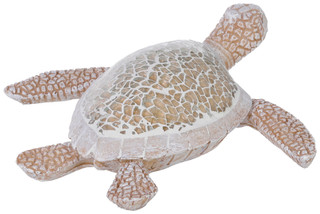 Thumbnail 3: No Color