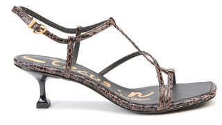 Thumbnail 2: BROWN SNAKE