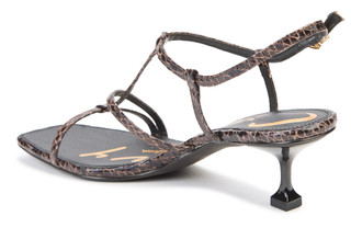 Thumbnail 5: BROWN SNAKE