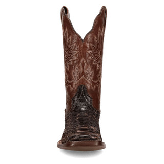 Thumbnail 6: DAN POST Women's Amara Python Western Boot 