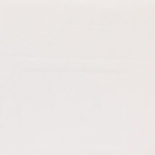 Thumbnail 2: Silver