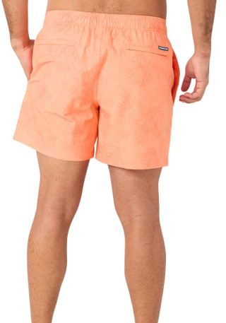 Thumbnail 2: Orange