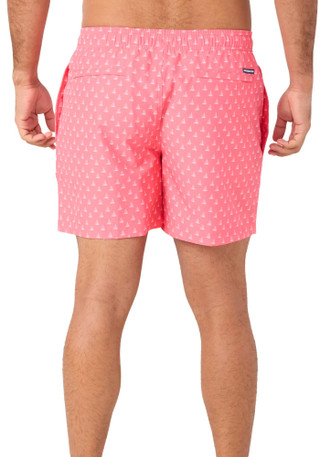 Thumbnail 2: CORAL