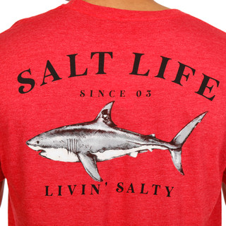 Thumbnail 3: Salt Life Men's Short Sleeve Logo Shark Graphic Tee 