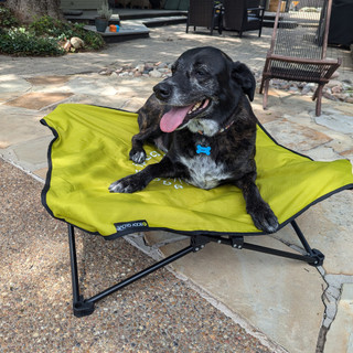 Thumbnail 9: Body Glove Fold &  Go Pet Cot & Carrying Case 