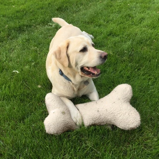 Thumbnail 3: Carolina Pet Company Sherpa Pet Bone Pillow 