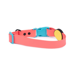 Thumbnail 11: Body Glove  Biothane Pet Collar 