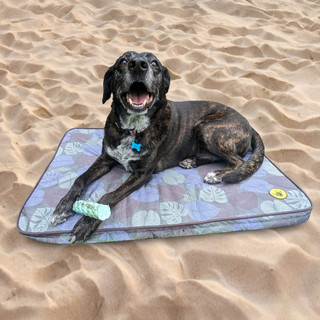 Thumbnail 4: Body Glove Sand & Sun Tough Pet Mat 