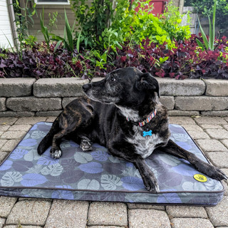 Thumbnail 16: Body Glove Sand & Sun Tough Pet Mat 