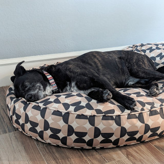 Thumbnail 7: Carolina Pet Company Oval Lounger PetBed 