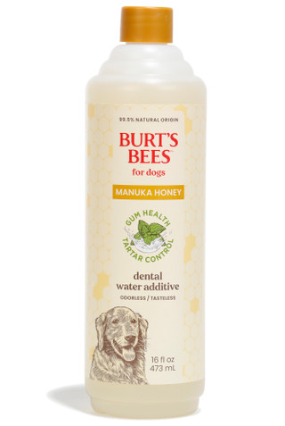 Thumbnail 1: Burt's Bees 16 oz Manuka Honey Dog Dental Water Additive 