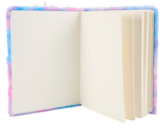 Thumbnail 2: Fuzzy Princess Cat Notebook 