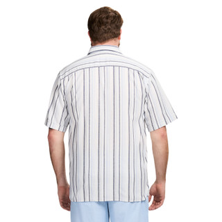 Thumbnail 3: IZOD Men's Big & Tall Dunes Texture Short Sleeve Button Down Shirt 