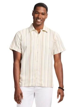 Thumbnail 1: IZOD Men's Saltwater Dunes Texture Stripe Button Down Shirt 