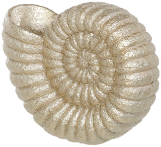 Thumbnail 3: Fancy That 13 In Golden Nautilus Shell Decor 