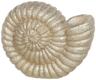 Thumbnail 1: Fancy That 13 In Golden Nautilus Shell Decor 