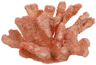 Thumbnail 2: Fancy That 9 In Resin Coral Bush Accent 