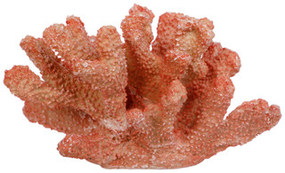 Thumbnail 1: Fancy That 9 In Resin Coral Bush Accent 