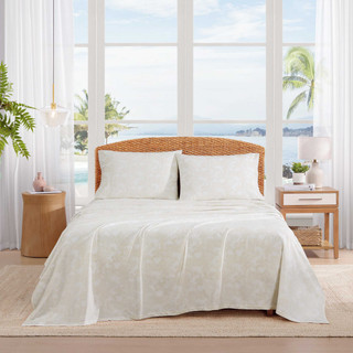 Thumbnail 1: TOMMY BAHAMA Tommy Bahama Legacy Fronds Cotton Sheet Set 