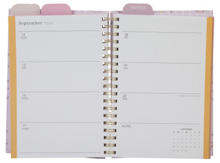 Thumbnail 2: Posh + Pop Aug 2026 - Jan 2028 Monthly/Weekly Planner 