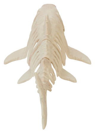 Thumbnail 3: Magical Season 24x7 Halloween Shark Skeleton Home Accent 