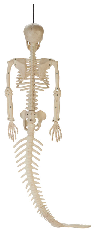Thumbnail 2: Magical Season 48 in Halloween Mermaid Skeleton Home Accent 