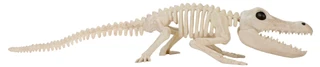 Thumbnail 3: Magical Season 29 in Halloween Crocodile Skeleton Home Accent 