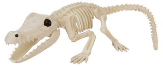 Thumbnail 1: Magical Season 29 in Halloween Crocodile Skeleton Home Accent 