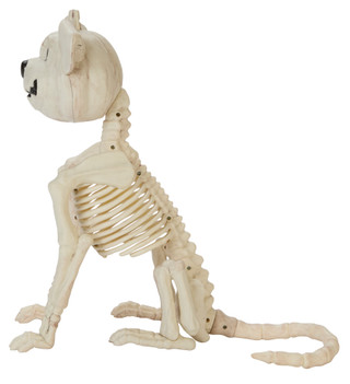 Thumbnail 2: Magical Season 18x18 Halloween Pumpkin Dog Head Skeleton Home Accent 