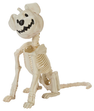 Thumbnail 1: Magical Season 18x18 Halloween Pumpkin Dog Head Skeleton Home Accent 