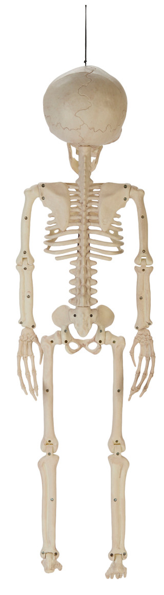 Thumbnail 2: Magical Season 37 in Halloween Alien Skeleton Home Accent 