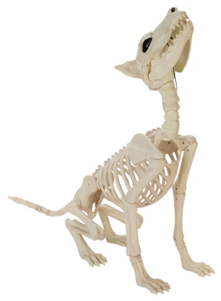 Thumbnail 1: Magical Season 14x25 Halloween Wolf Skeleton Home Accent 