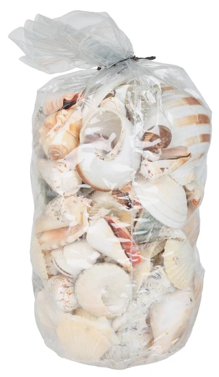 Thumbnail 2: Contrast 10x6 Sea Shell Home Accent Bag 