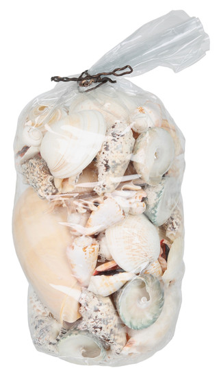 Thumbnail 1: Contrast 10x6 Sea Shell Home Accent Bag 