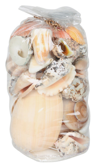 Thumbnail 2: Contrast 10x5 Sea Shell Home Accent Bag 