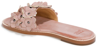 Thumbnail 3: FRYE & CO Womens Bucky Flower Sandals 