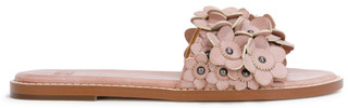 Thumbnail 5: FRYE & CO Womens Bucky Flower Sandals 