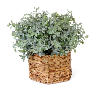 Thumbnail 2: Da Direct 16 in Frosted Tea Leaf Decorative Plant 