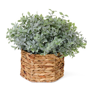 Thumbnail 1: Da Direct 16 in Frosted Tea Leaf Decorative Plant 