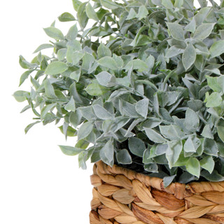 Thumbnail 3: Da Direct 16 in Frosted Tea Leaf Decorative Plant 